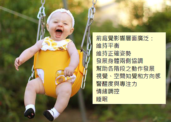 Vestibular Vestibular