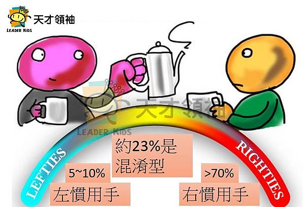 左右慣用手比例 左右慣用手比例