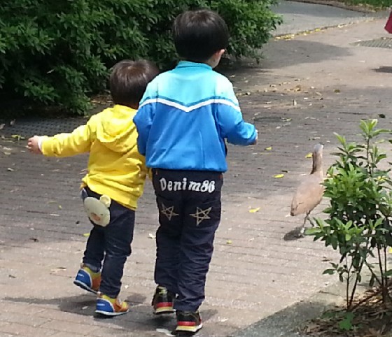 2014-12-24_083746 2014-12-24_083746