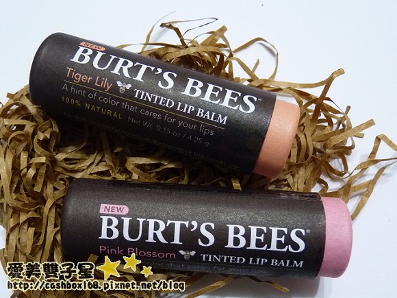burt'sbees口紅01.jpg