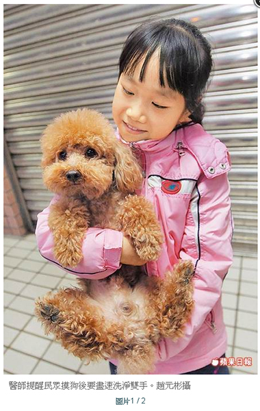 醫師提醒民眾摸狗後要盡速洗淨雙手