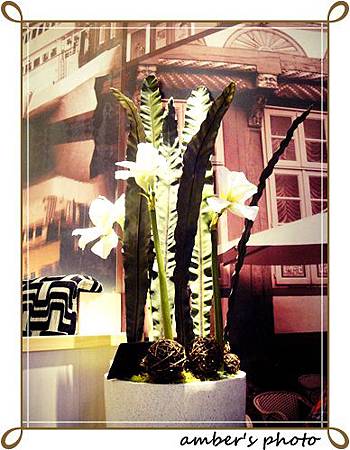 ✜義式料理✜ 復興SOGO偷藏好料☛Cafe Kitchen