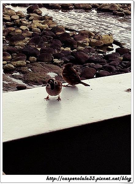 IMG_0286.JPG IMG_0286.JPG