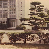 敬業樓1977(圖書館).jpg