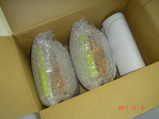 巨嘴鳥3.jpg 巨嘴鳥3.jpg