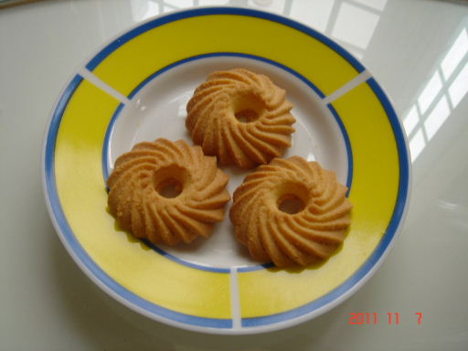 巨嘴鳥12.jpg 巨嘴鳥12.jpg