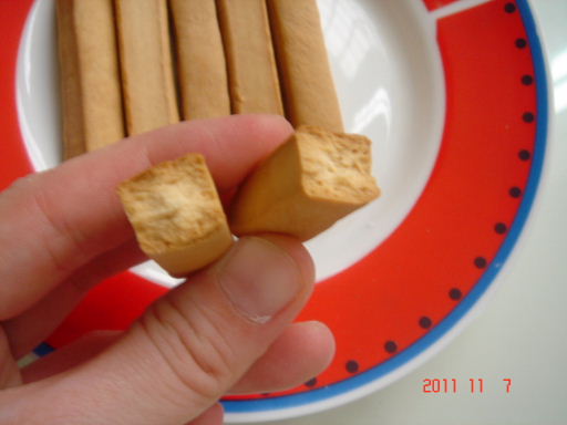 巨嘴鳥13-1.jpg 巨嘴鳥13-1.jpg