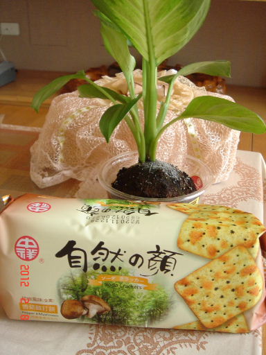 中祥-香菇6.jpg 中祥-香菇6.jpg