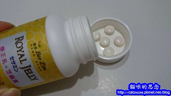 PhotoCap_004.jpg 試用