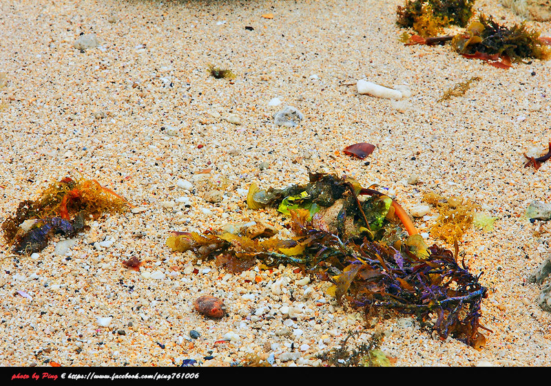 小琉球景點,蛤板灣 小琉球景點