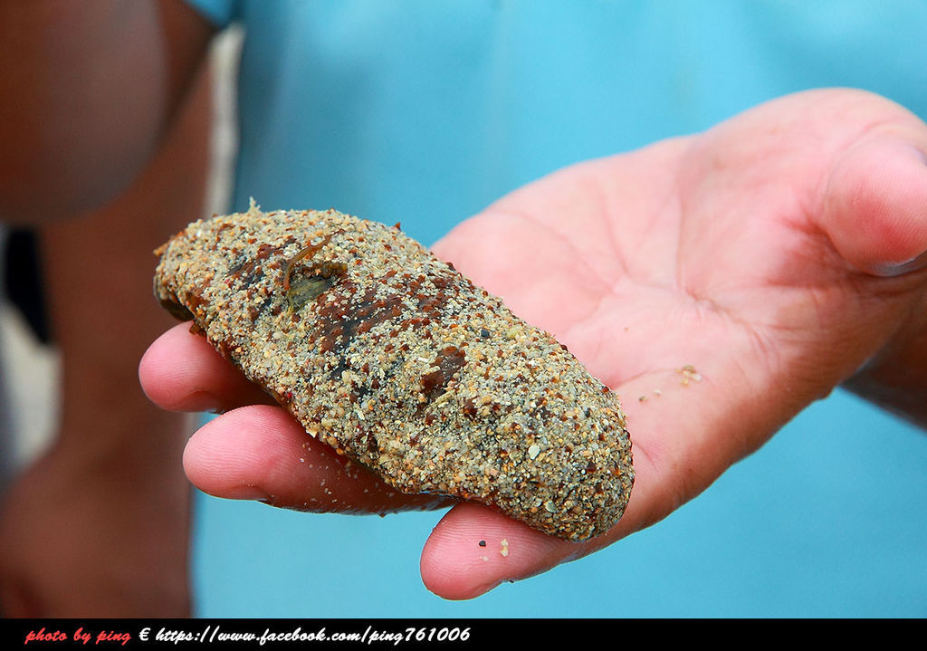 小琉球潮間帶 小琉球潮間帶