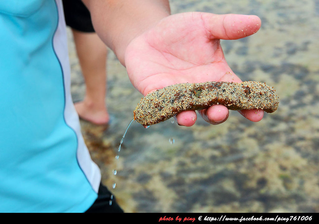 小琉球潮間帶 小琉球潮間帶