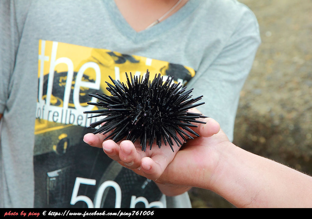 小琉球潮間帶 小琉球潮間帶