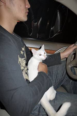 打擾把拔開車厚 打擾把拔開車厚