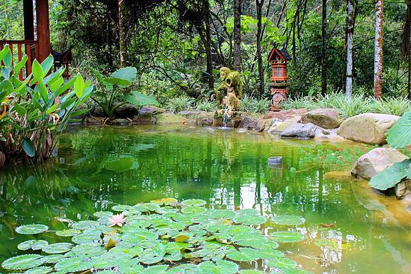 烏布雨林峇里島主題餐廳：群山圍繞隱身深山中，道地南洋異國峇里島風情‧烏布雨林主題餐廳