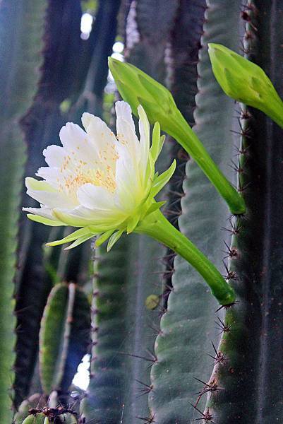 IMG_3805.JPG IMG_3805.JPG