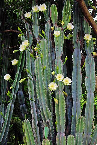 IMG_3811.JPG IMG_3811.JPG