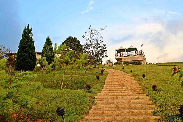 IMG_5140.JPG IMG_5140.JPG