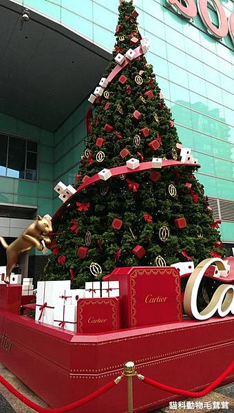 Catier豹仔聖誕樹