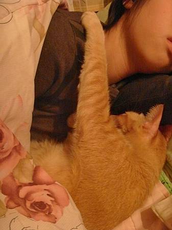 SI850918.JPG SI850918.JPG