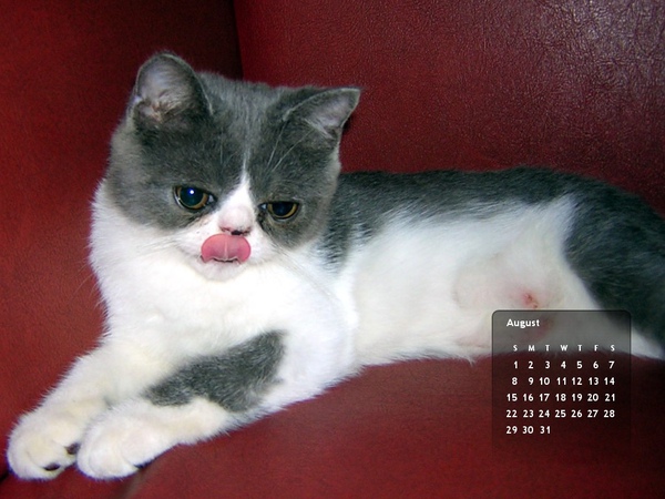 8月.jpg 8月.jpg
