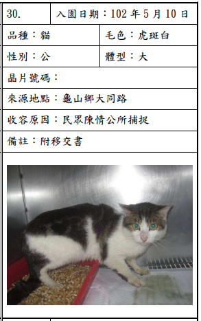 cat051005 cat051005