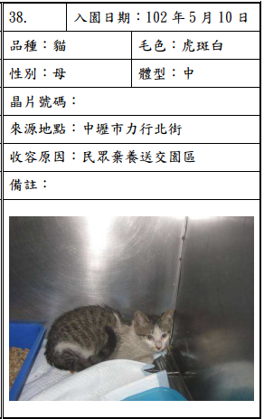 cat051003 cat051003