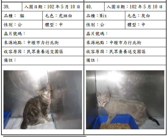 cat051002 cat051002