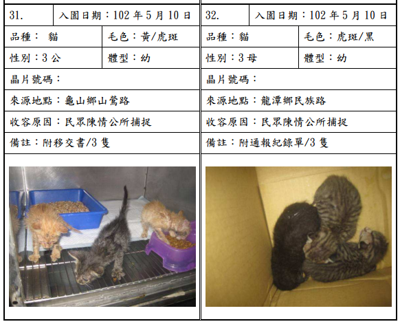 cat051004 cat051004