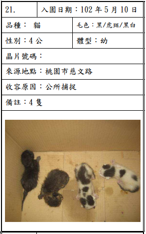 cat051006 cat051006
