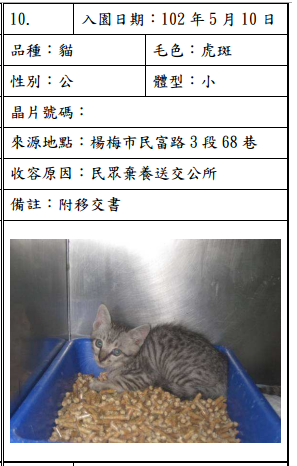 cat051009 cat051009