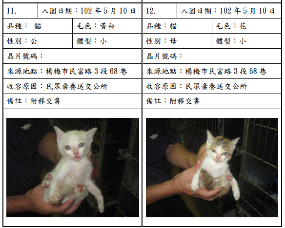 cat051008 cat051008