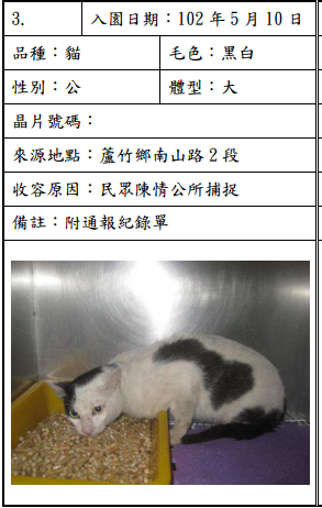 cat051010 cat051010