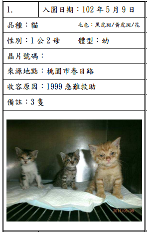 cat051011 cat051011