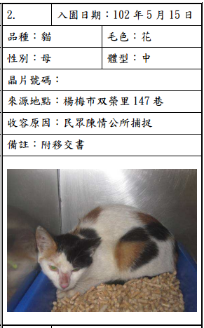 cat051501 cat051501