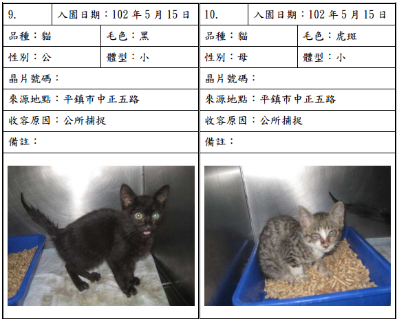 cat051503 cat051503