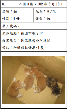 cat051502 cat051502