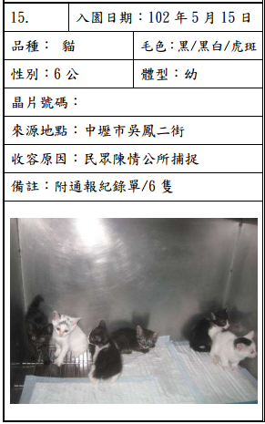 cat051504 cat051504