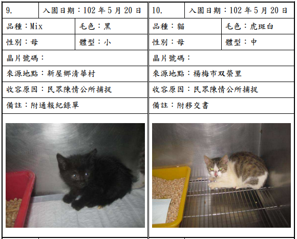 cat052003 cat052003