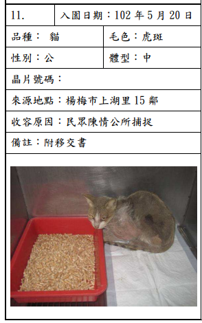 cat052004 cat052004
