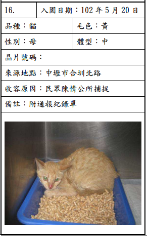 cat052005 cat052005