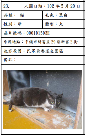 cat052007 cat052007