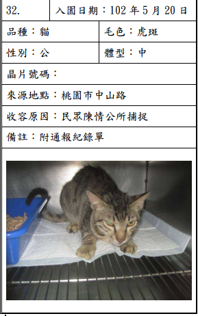 cat052008 cat052008