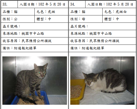 cat052009 cat052009