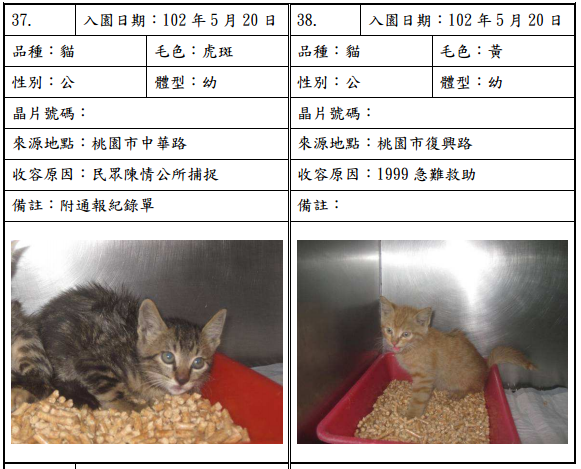 cat052011 cat052011