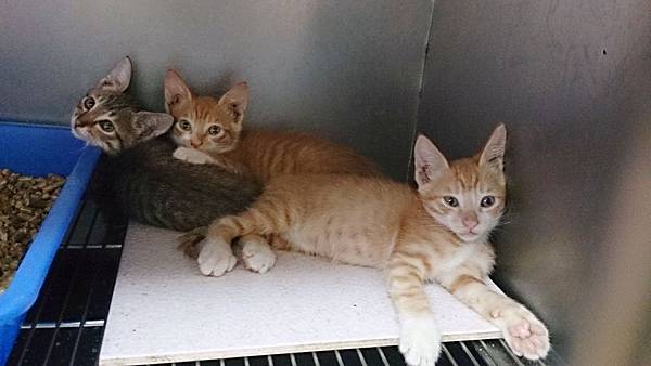 2013-09-07 10.18.16.jpg