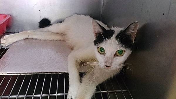 2013-09-07 10.19.15.jpg