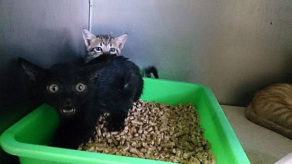 2013-09-07 10.19.41.jpg