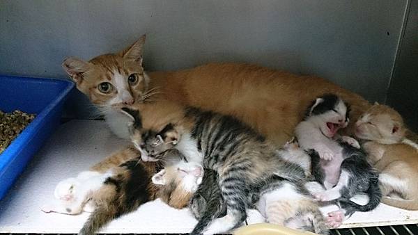 2013-09-07 10.20.19.jpg