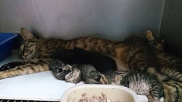 2013-09-07 10.20.29.jpg